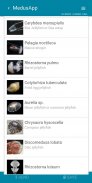 MedusApp screenshot 1