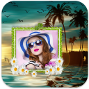 Nature Photo Editor