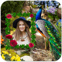 Peacock Photo Frames