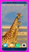 Giraffe Wallpaper screenshot 9