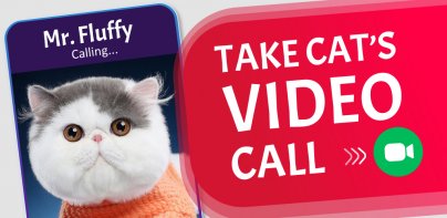 Cat Video Call & Chat Prank