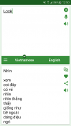 Vietnamese - English Translato screenshot 1