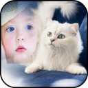 Best Cat Camera Photo Frames - Baixar APK para Android | Aptoide