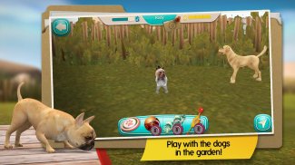 DogHotel — 和小狗们一起玩耍并管理好狗舍 screenshot 5
