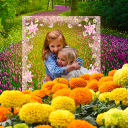 Photo Frame Garden Photo Frame