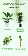 FloraFinder: Plant ID screenshot 1