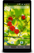 Rose Clock LIve Wallpaper screenshot 1