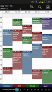 Business Calendar (Calendario) screenshot 17