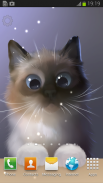 Peper Kitten screenshot 7