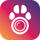 PetCam App - Dog Camera App Icon