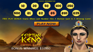 Egyptian Keno Catch The Scarab screenshot 3