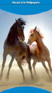 Horses Live Wallpapers screenshot 1