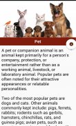 Animal Information in English screenshot 0