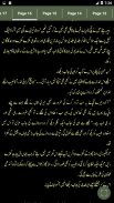 Tu Jo Mil Jay - Urdu Novel Offline Complete screenshot 1