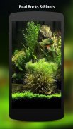 3D Fish Aquarium Wallpaper HD screenshot 7