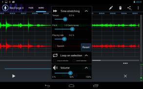 RecForge II Pro Audio Recorder screenshot 7