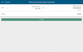 Valley Isle Community FCU screenshot 3