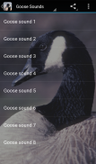 Goose Sounds screenshot 0