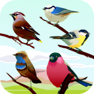 Bird Sounds screenshot 1