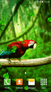 Parrot Live Wallpapers screenshot 5