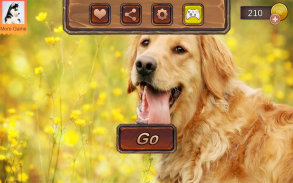 Golden Retriever Simulator screenshot 0