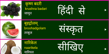 Learn Sanskrit From Hindi screenshot 8