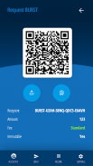 Phoenix Burst Wallet screenshot 3