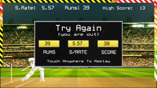 Blokstok Cricket screenshot 11