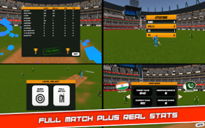 Cricket Superstar League 3D screenshot 8