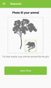 Yellowstone Mammal Identifier screenshot 5