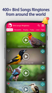 Τραγούδια πουλιών  Ήχοι κλήσης screenshot 1