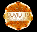 Covid-19-Map Icon