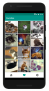 Cat Pix - Cute Cat Pictures, GIFs, and Wallpapers screenshot 1