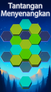 Hexa Master 3D - Color Sort screenshot 21