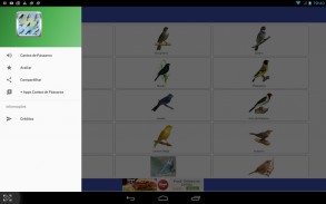 Canto de Pássaros Brasileiros screenshot 6