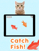 Games for Cats! - Cat Fishing Mouse Chase Cat Game screenshot 3