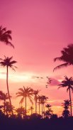 Nature HD Wallpapers screenshot 0