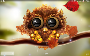 Autumn Little Owl Wallpaper screenshot 1