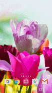 Flowers Live Wallpaper screenshot 0