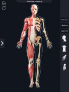 Muscle Anatomy Pro. screenshot 0