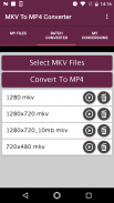MKV To MP4 Converter screenshot 2