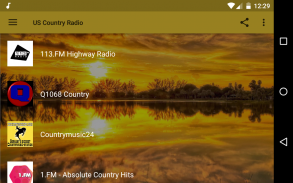 USA Country Radio screenshot 0