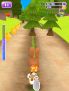 Bunny Rabbit Runner screenshot 11