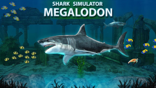 Shark Simulator - Download