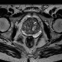 Magnetic Resonance Positioning Icon