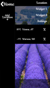 Flower Field Weather Widget screenshot 1