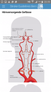 Stroke Guidelines screenshot 3