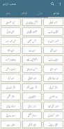 اردو شاعری : Urdu shayari screenshot 2