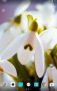 Spring Flowers Live Wallpaper screenshot 8