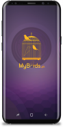 My Birds screenshot 9